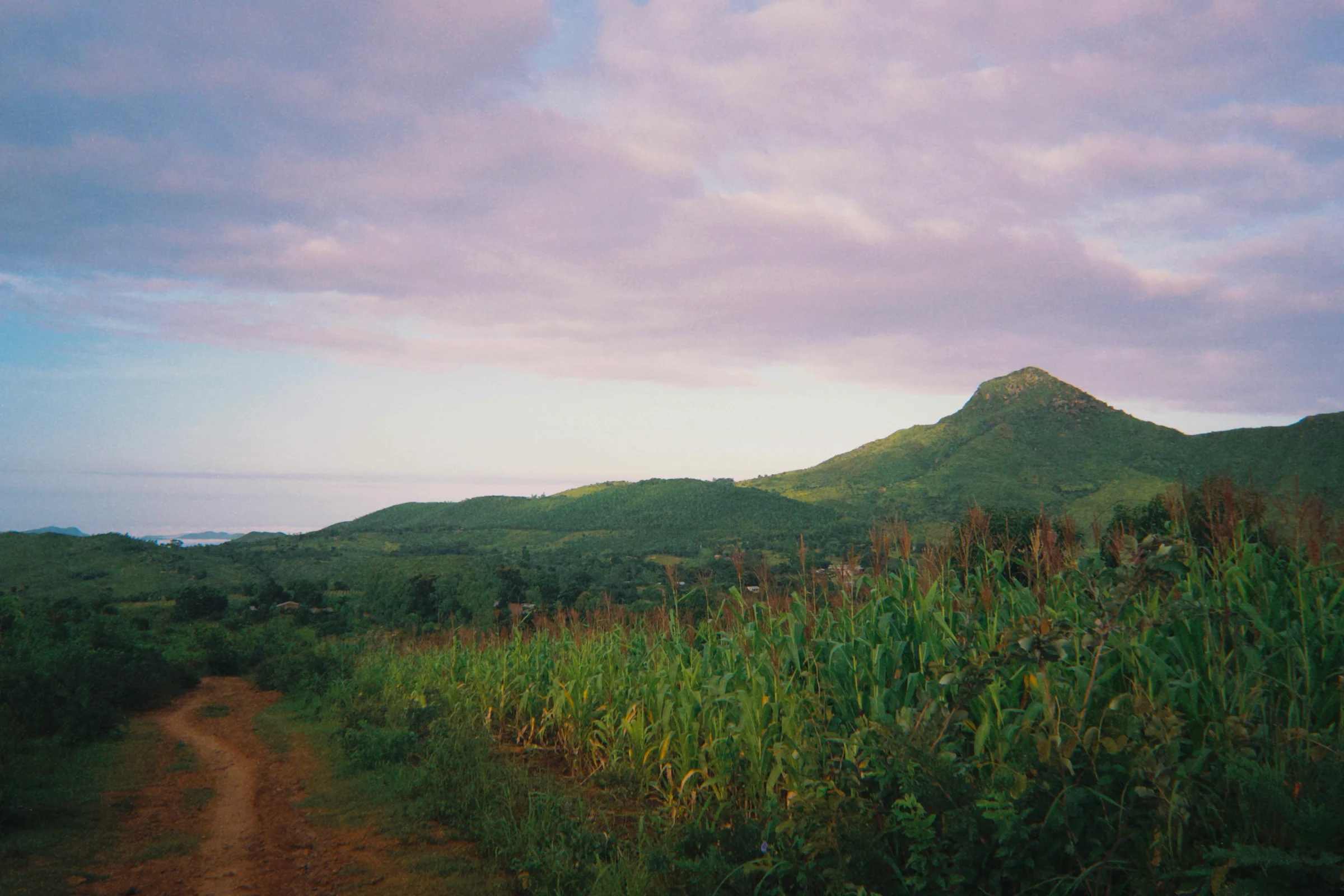 Chiringani mountain at dusk, with the maize field in the foreground